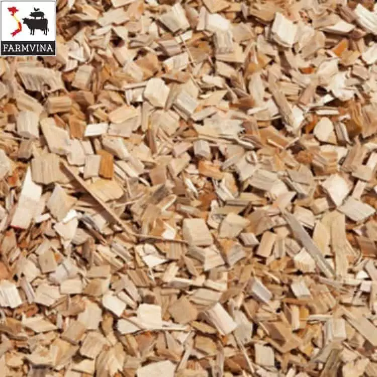 Eucalyptus woodchips