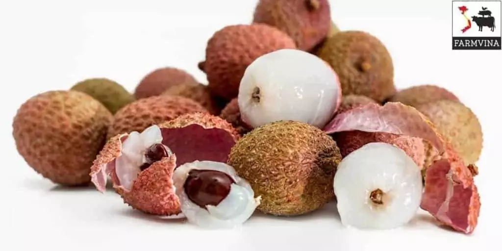 lychee