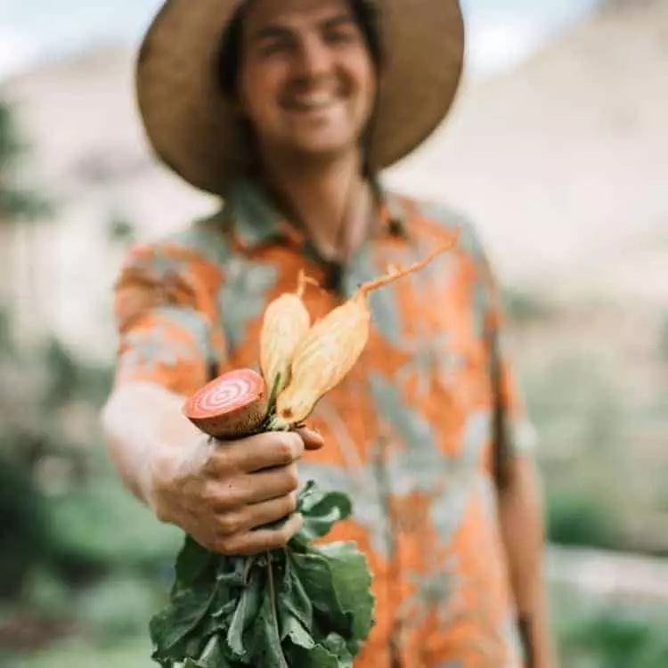 The Business Of Urban Farming