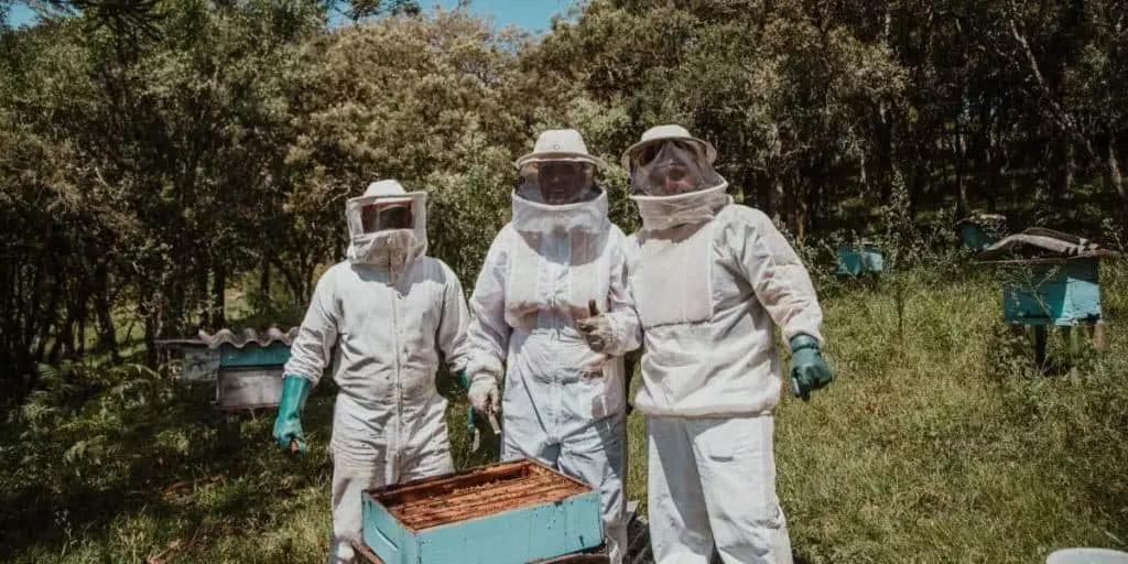 backyard beekeeping