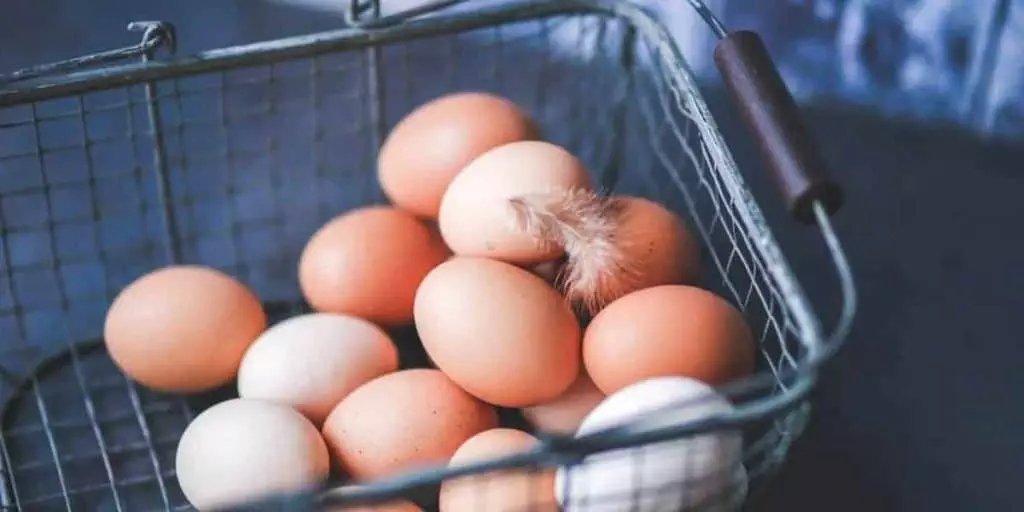 organic eggs