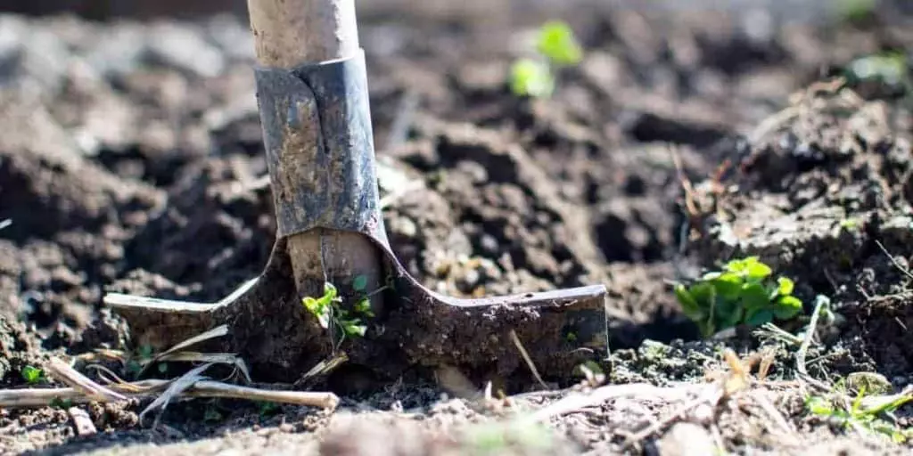 urban homesteading