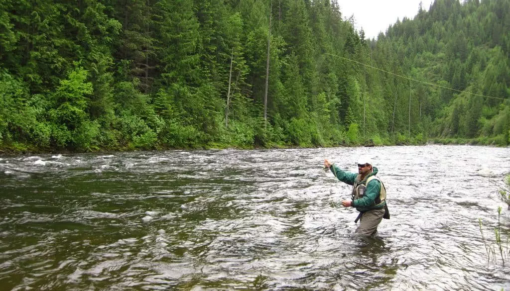 Fish Angler