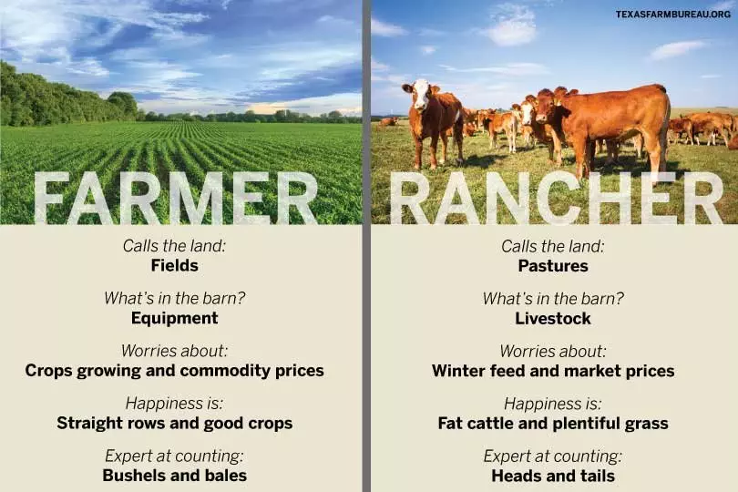  ranch vs farm