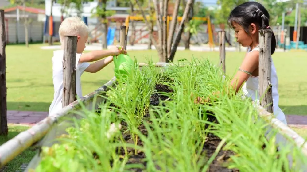 Should Farmer Children Go to Kindergarten