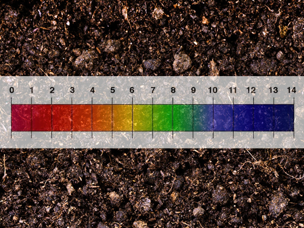 garden soil pH